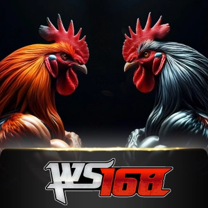 ws168 - STARBET388
